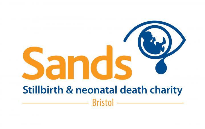 Bristol Sands Logo